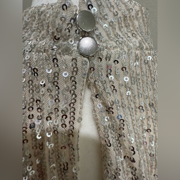 Halogen Sequins Silver Dress with Cream Lining, XL - Picture 8 of 11